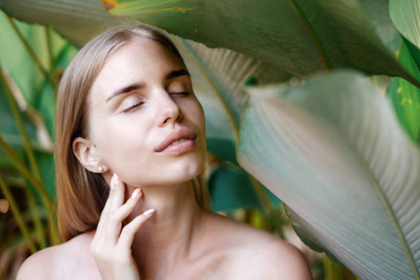 التوازن بين الملامح